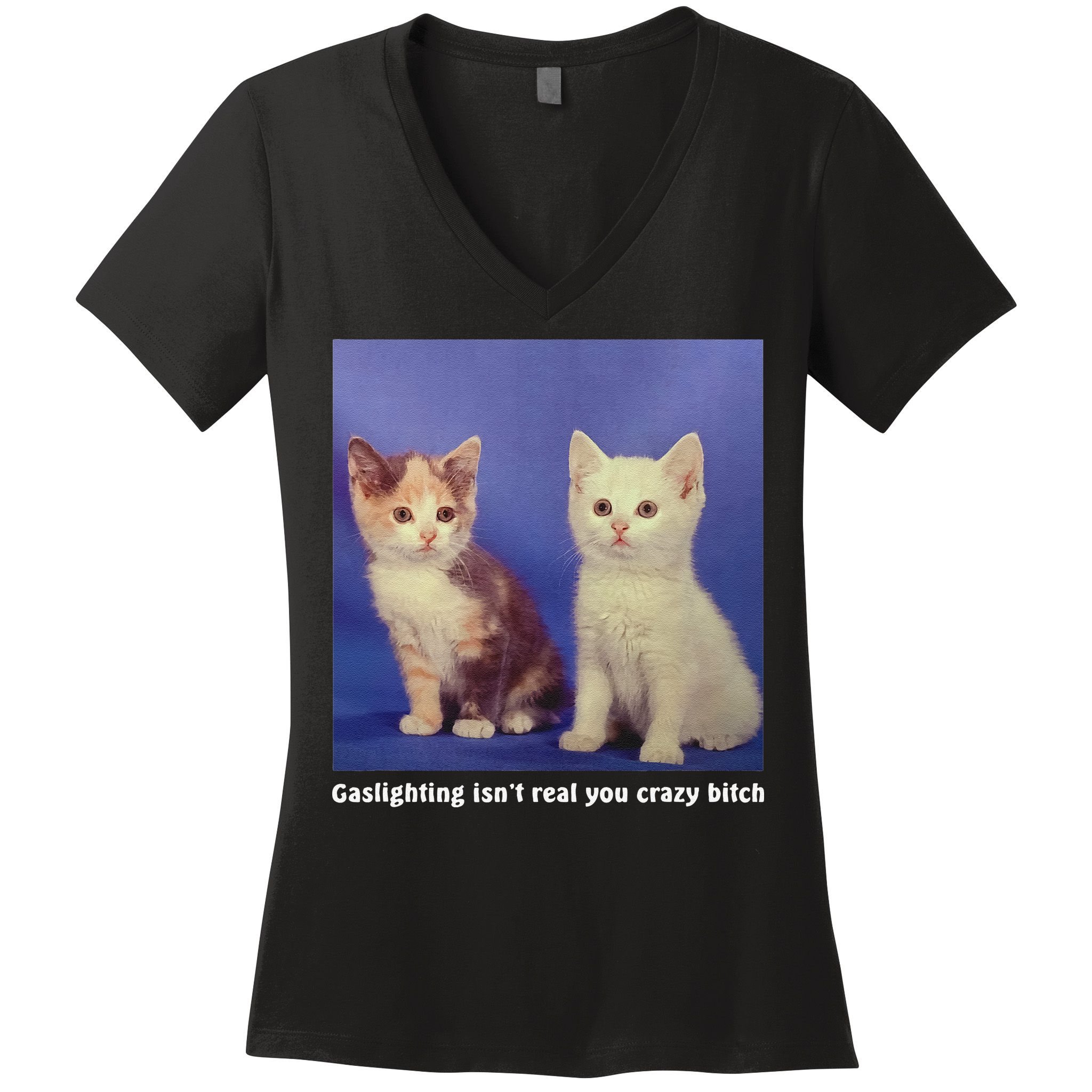 Gaslighting Isnt Real You Crazy B.I.T.C.H Funny Cat Lover Women's V-Neck T-Shirt