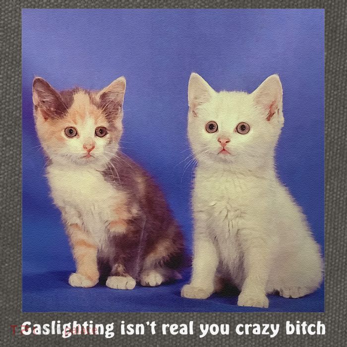 Gaslighting Isnt Real You Crazy B.I.T.C.H Funny Cat Lover Cotton Canvas Backpack