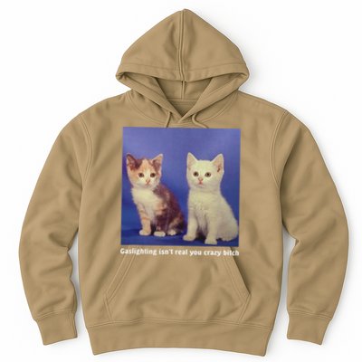 Gaslighting Isnt Real You Crazy B.I.T.C.H Funny Cat Lover Hoodie