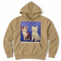 Gaslighting Isnt Real You Crazy B.I.T.C.H Funny Cat Lover Hoodie
