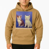 Gaslighting Isnt Real You Crazy B.I.T.C.H Funny Cat Lover Hoodie