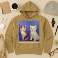 Gaslighting Isnt Real You Crazy B.I.T.C.H Funny Cat Lover Hoodie