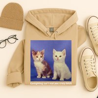 Gaslighting Isnt Real You Crazy B.I.T.C.H Funny Cat Lover Hoodie
