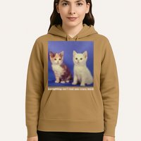 Gaslighting Isnt Real You Crazy B.I.T.C.H Funny Cat Lover Hoodie