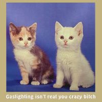 Gaslighting Isnt Real You Crazy B.I.T.C.H Funny Cat Lover Hoodie