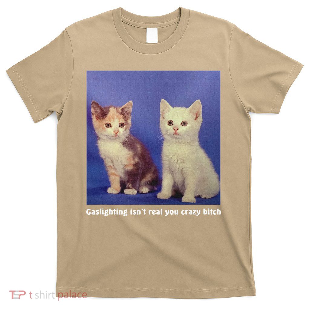 Gaslighting Isnt Real You Crazy B.I.T.C.H Funny Cat Lover T-Shirt