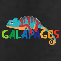 Galapagos Islands Summer Colorful Chameleon Exotic Animal Tumbler