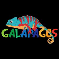 Galapagos Islands Summer Colorful Chameleon Exotic Animal Sweatshirt