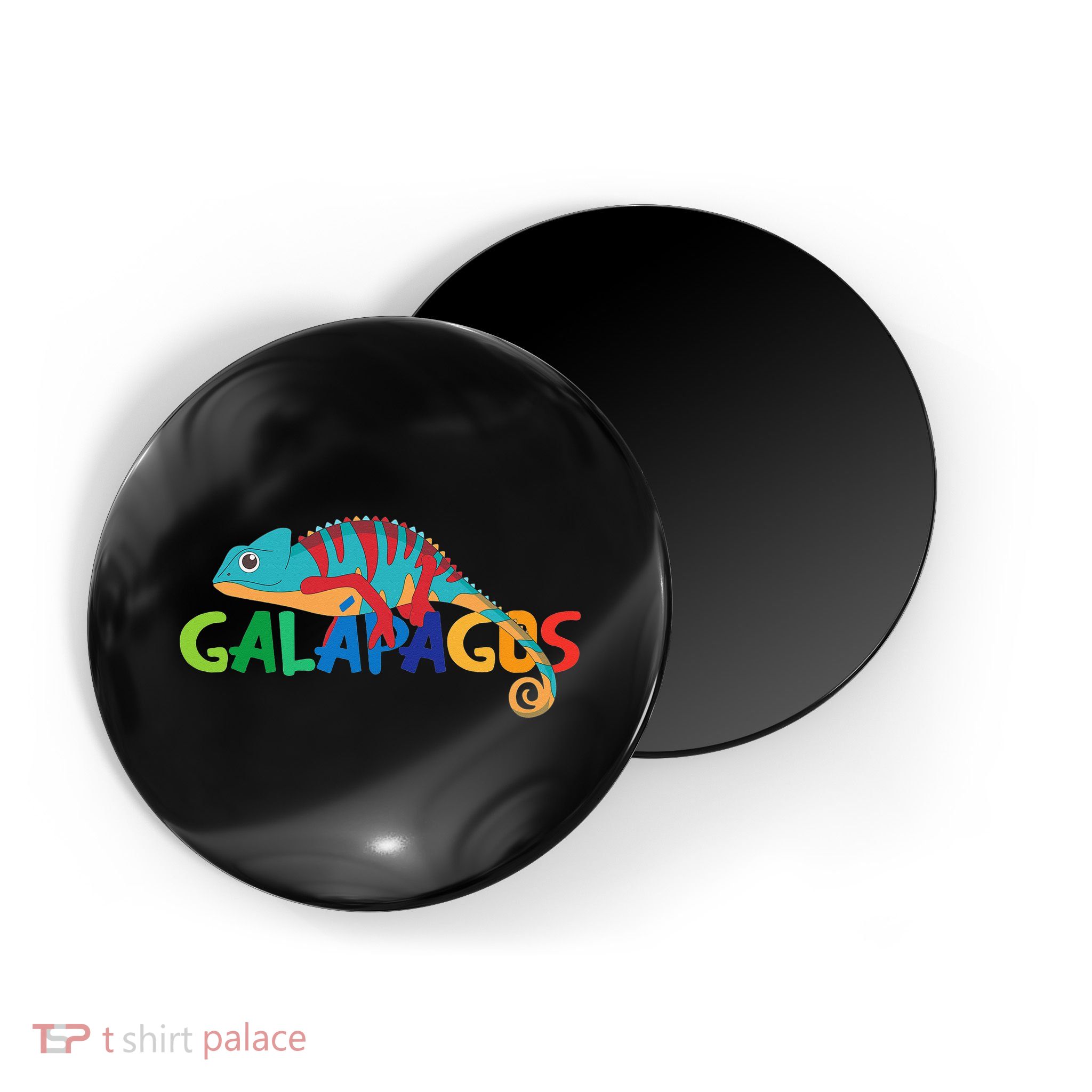 Galapagos Islands Summer Colorful Chameleon Exotic Animal Magnet