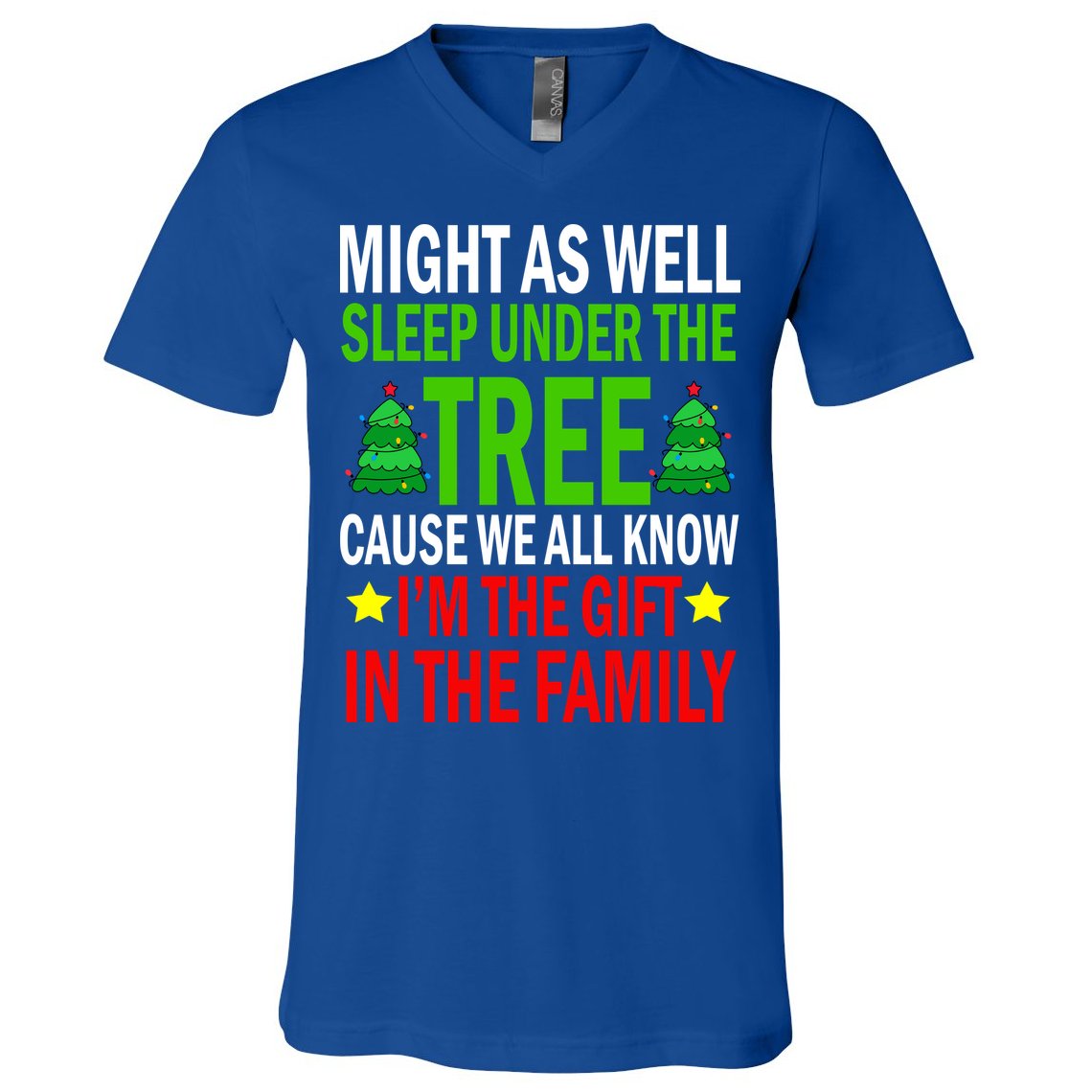 Gift In The Family Funny Christmas Holiday V-Neck T-Shirt