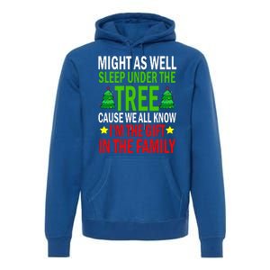 Gift In The Family Funny Christmas Holiday Premium Hoodie