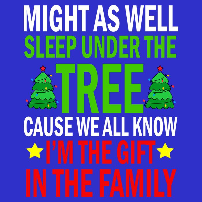 Gift In The Family Funny Christmas Holiday Womens Tank Top
