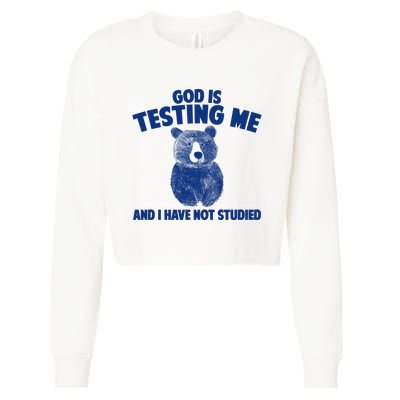 God Is Testing Me And I Have Not Studied Cropped Pullover Crew