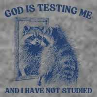 God Is Testing Me & I Have Not Studied Raccoon Trash Pandas 7-Panel Snapback Hat