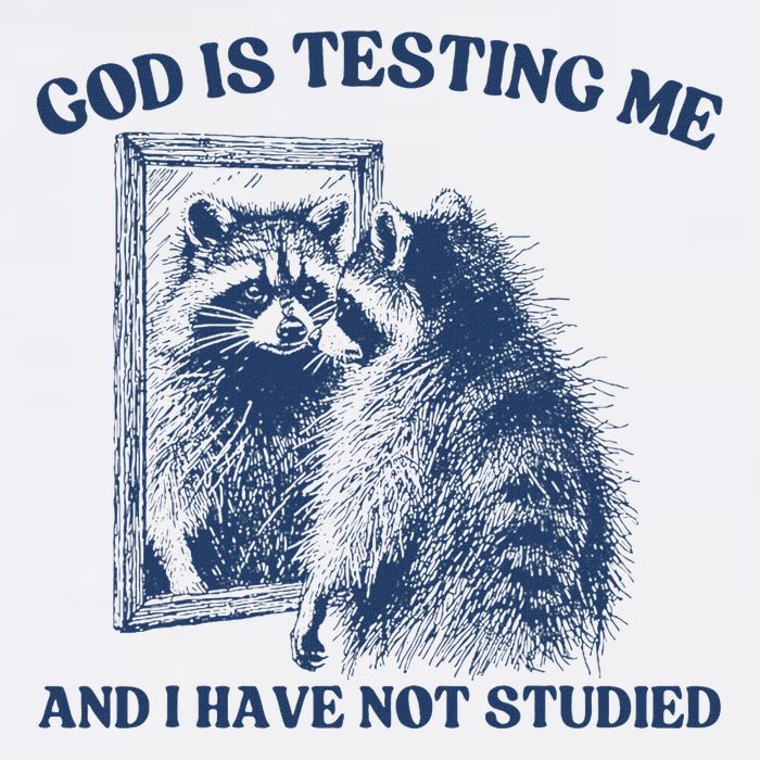 God Is Testing Me & I Have Not Studied Raccoon Trash Pandas Baby Bodysuit