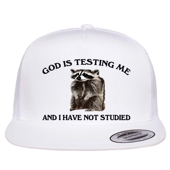 God Is Testing Me And I Have Not Studied Flat Bill Trucker Hat