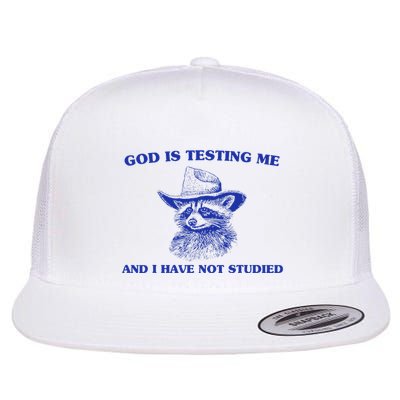 God Is Testing Me And I Have Not Studied Funny Raccon Flat Bill Trucker Hat