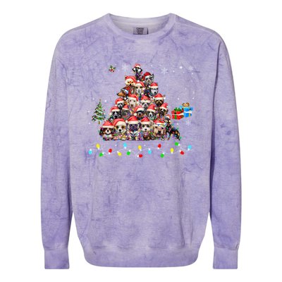 Get Into The Holiday Spirit With Joyful Loyal Dog Breeds Gift Colorblast Crewneck Sweatshirt