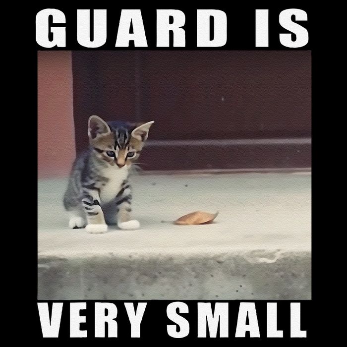 Guard Is Very Small Cat Funny Oddly Specific Dank Meme Sweatshirt