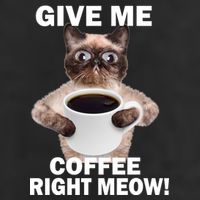 Give Me Coffee Right Meow Cool Comfort Performance Bucket Hat