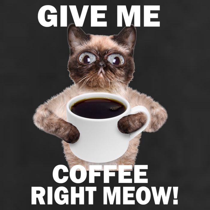 Give Me Coffee Right Meow Cool Comfort Performance Bucket Hat