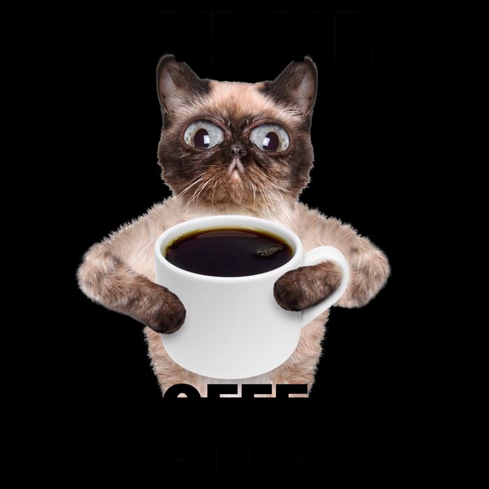 Give Me Coffee Right Meow Mug