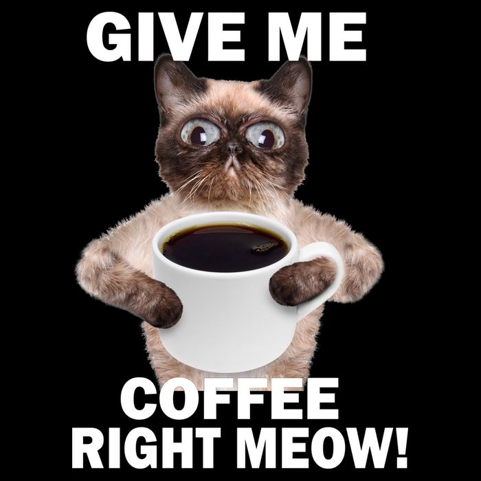 Give Me Coffee Right Meow Bag