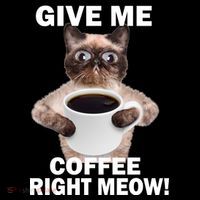 Give Me Coffee Right Meow Mousepad