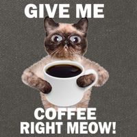 Give Me Coffee Right Meow Cotton Canvas Backpack