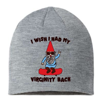 Gotfunny I Wish I Had My Virginity Sustainable Beanie