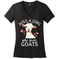 Goat Just A Who Loves Goats Farmer Goat Mom Women's V-Neck T-Shirt