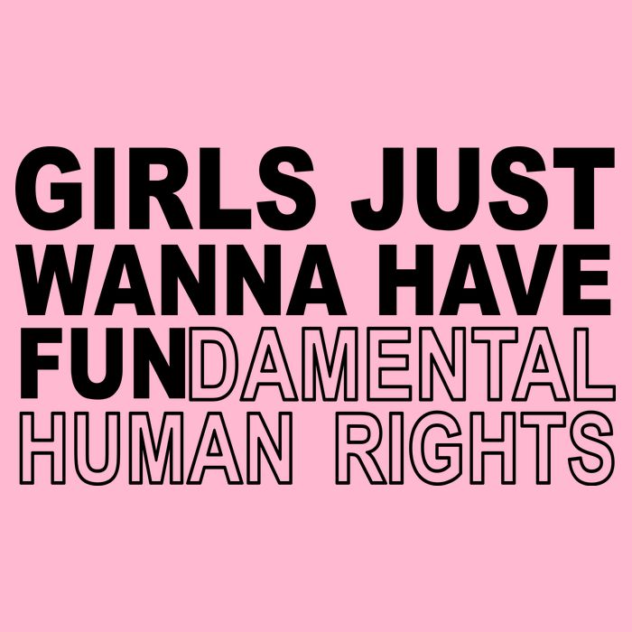 Girls Just Wanna Have Fundamental Human Rights Premium T-Shirt