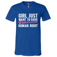 Girls Just Want To Have Fundamental Rights Funny Cool Gift V-Neck T-Shirt