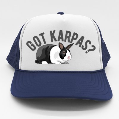 Got Karpas Funny Passover Seder Plate Jewish Humor Meme Gift Trucker Hat