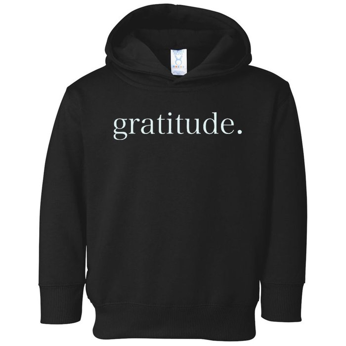 Goodness Kindness Gratitude Good Life Uplifting Toddler Hoodie