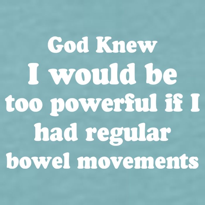 God Knew I Would Be Too Powerful If I Had Regular Bowel Movements Sueded Cloud Jersey T-Shirt
