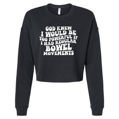 God Knew I Would Be Too Powerful If I Had Regular Bowel Movements Cropped Pullover Crew