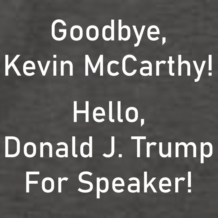 Goodbye Kevin McCarthy Hello Donald J. Trump For Speaker Vector Backpack