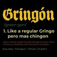 Gringon Like A Regular Vintage Funny GringóN Definition T-Shirt