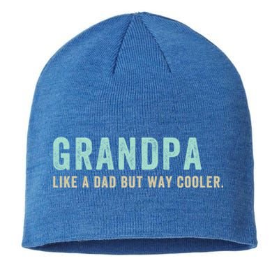 Grandpa Like A Dad But Way Cooler Gift Sustainable Beanie