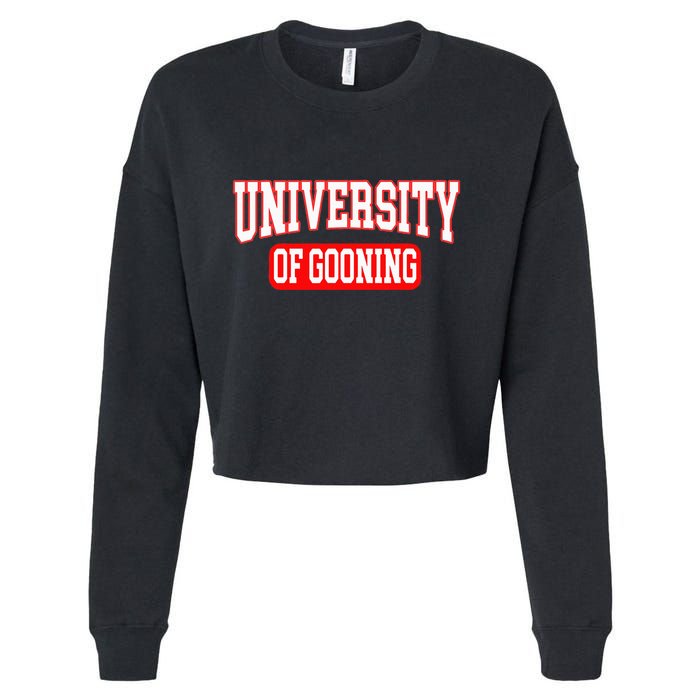 Gooning Looksmaxxing Cropped Pullover Crew