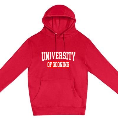 Gooning Looksmaxxing Premium Pullover Hoodie