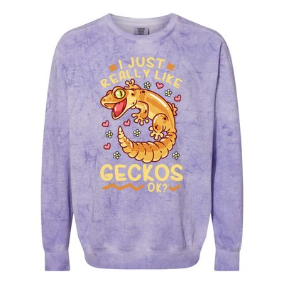 Gecko Lizard Leopard Geckos Terraristic Colorblast Crewneck Sweatshirt