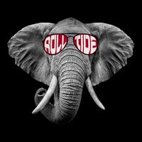 Graphic Last Name Roll Tide Alabama Retro Vintage Outfits Name Proud Backpack