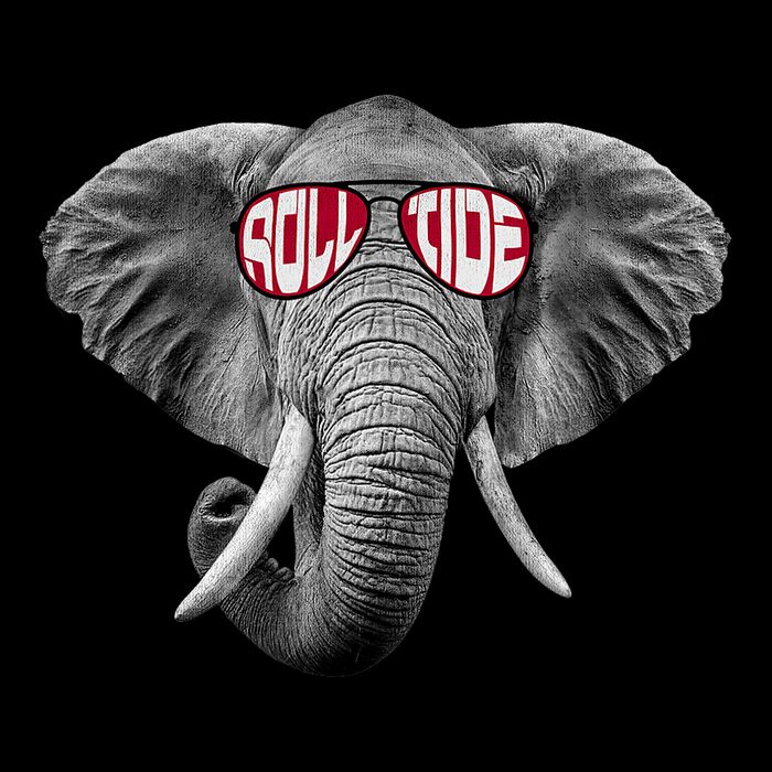 Graphic Last Name Roll Tide Alabama Retro Vintage Outfits Name Proud Backpack