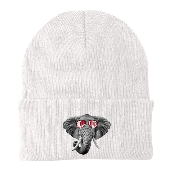 Graphic Last Name Roll Tide Alabama Retro Vintage Outfits Name Proud Beanie