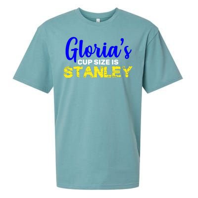 Gloria's Cup size is Stanley  Sueded Cloud Jersey T-Shirt