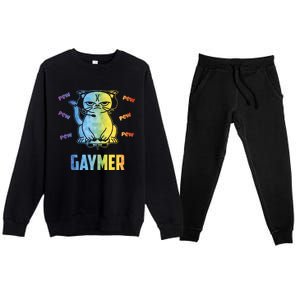 Gaymer Lgbt Pride Gay Lesbian Gamer Gift Premium Crewneck Sweatsuit Set