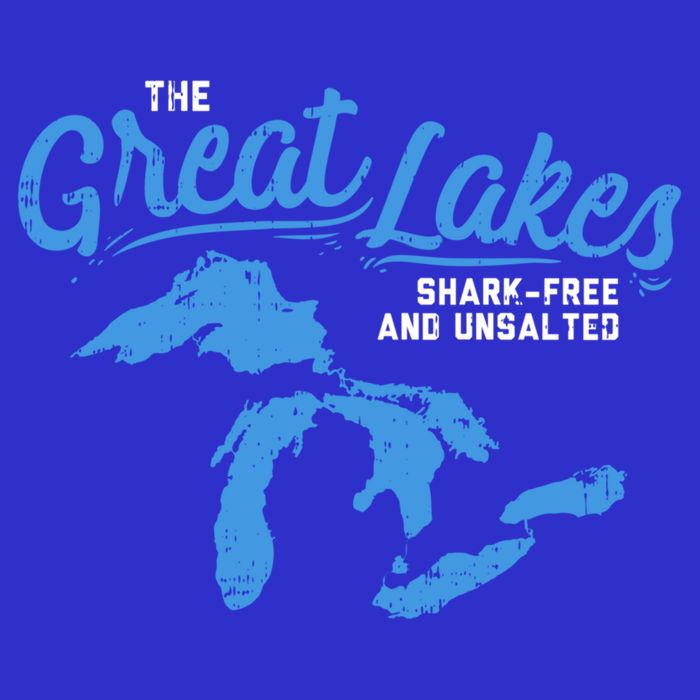 Great Lakes Shark Free And Unsalted Summer Vacation Lake Life Gift Toddler T-Shirt
