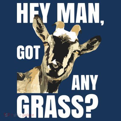 Goat Lovers Shirts Farm Animal Pun Pets Meme Funny Goat T-Shirt